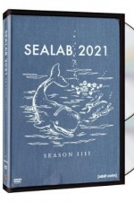 Watch Sealab 2021 Megavideo
